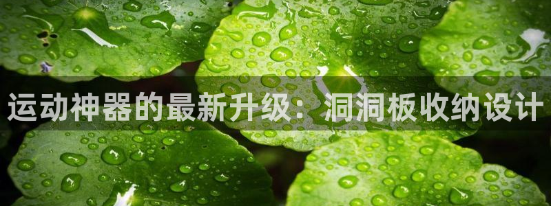 emc易倍体育官网下载招商电话是多少号码:运动神器的最新升级